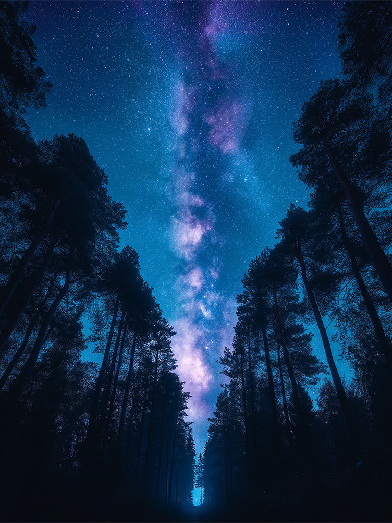 Starry Night over a Forest